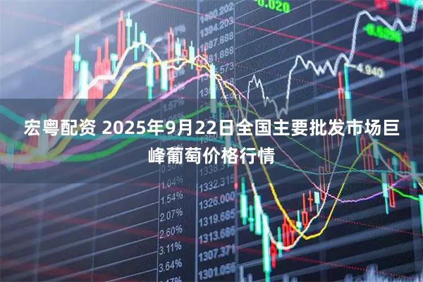 宏粤配资 2025年9月22日全国主要批发市场巨峰葡萄价格行情