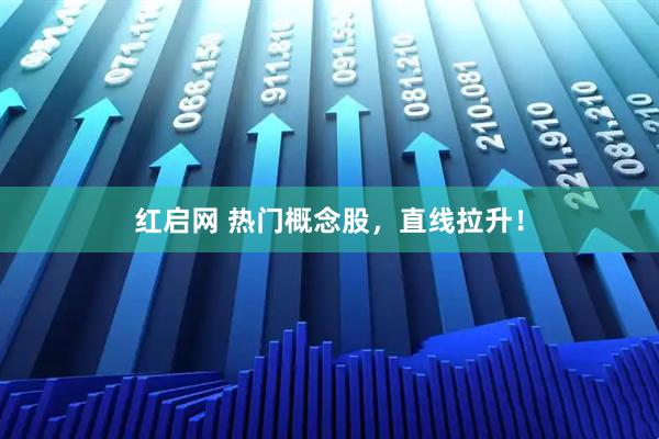 红启网 热门概念股，直线拉升！