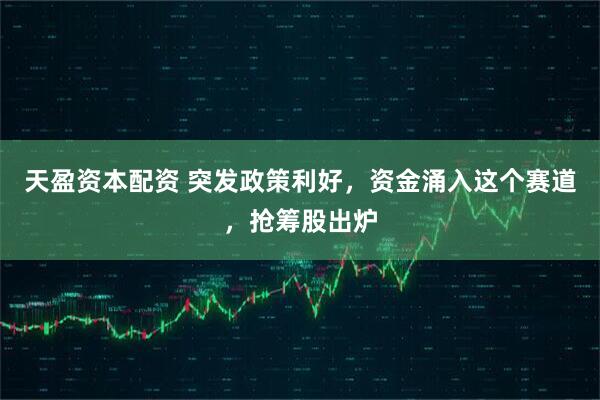 天盈资本配资 突发政策利好,资金涌入这个赛道,抢筹股出炉