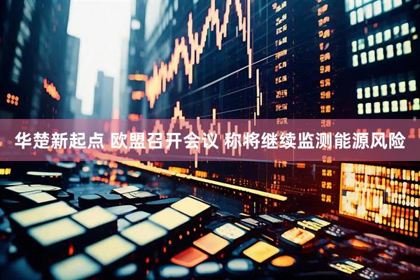 华楚新起点 欧盟召开会议 称将继续监测能源风险